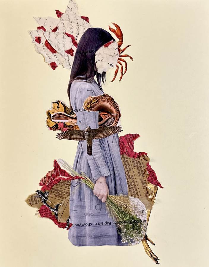 Womanhood collage by Narges Valibeigi