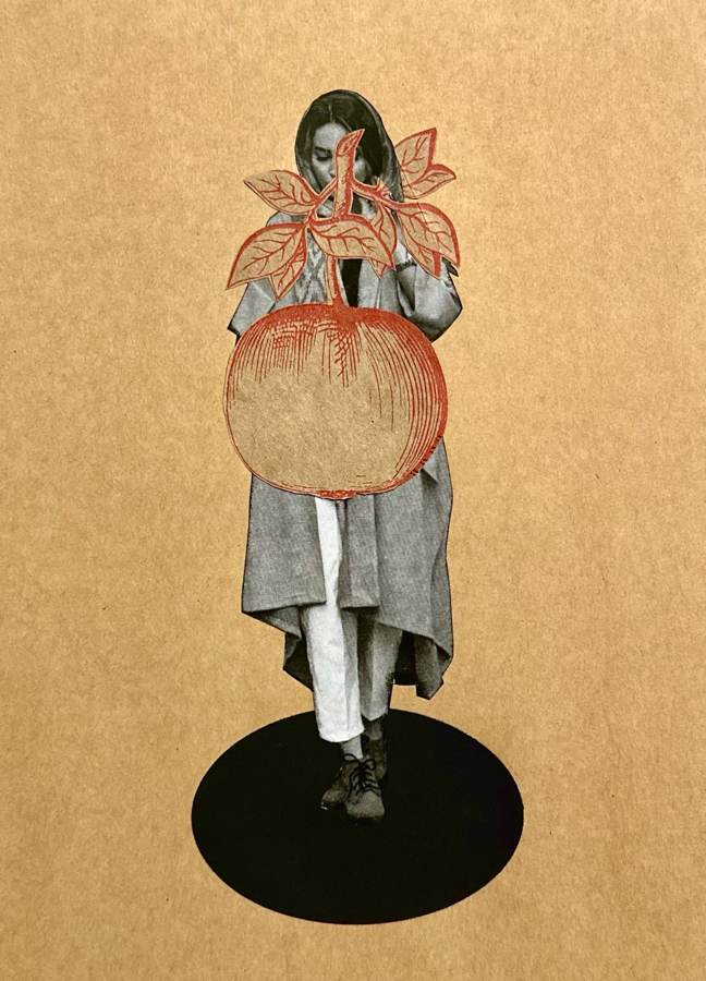 Womanhood collage by Narges Valibeigi