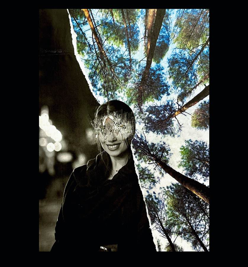 Womanhood collage by Narges Valibeigi