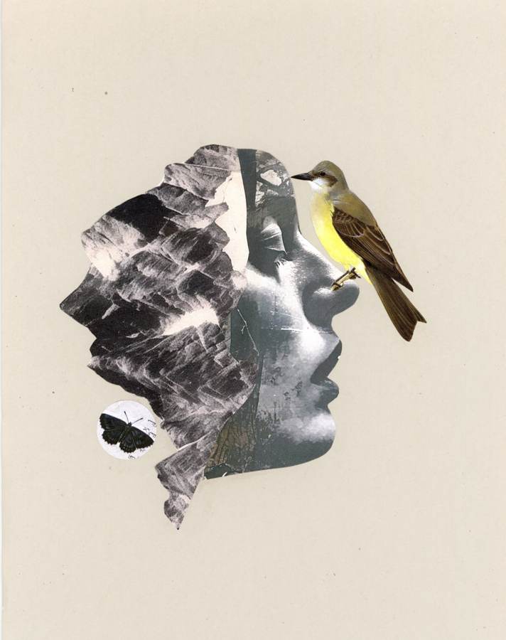 Womanhood collage by Narges Valibeigi