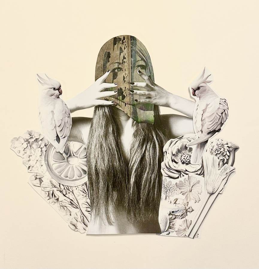 Womanhood collage by Narges Valibeigi
