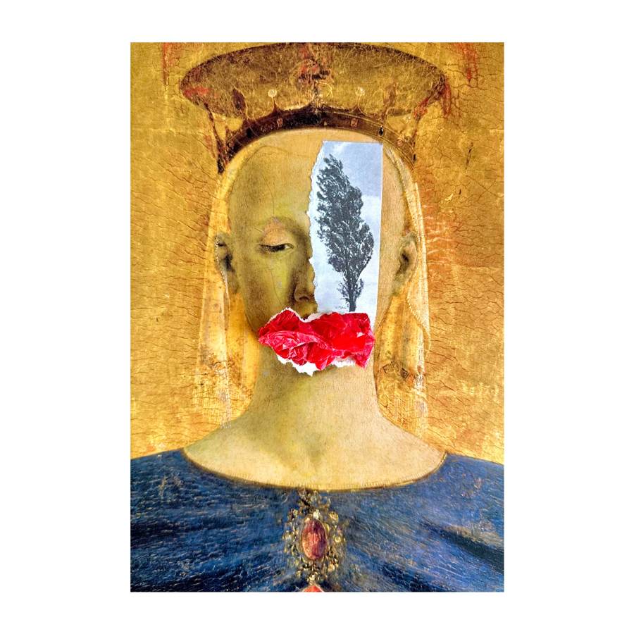 Womanhood collage by Narges Valibeigi