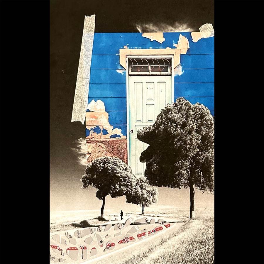 Losing the Roots collage by Narges Valibeigi