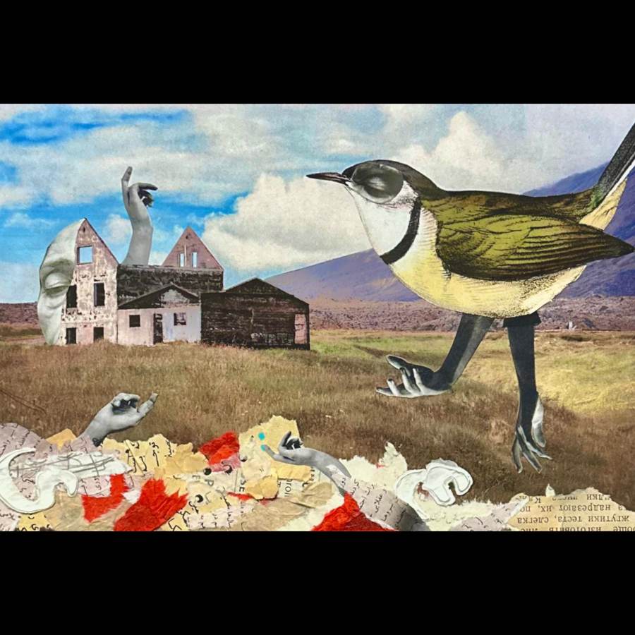 Losing the Roots collage by Narges Valibeigi
