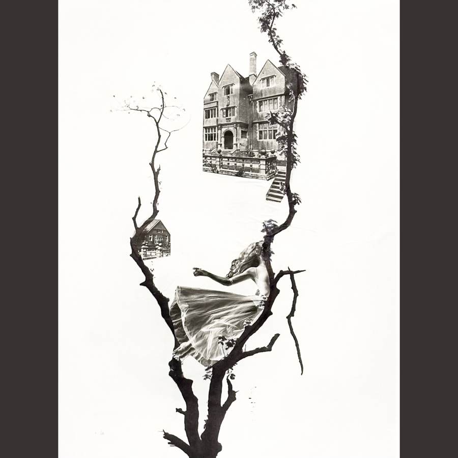 Losing the Roots collage by Narges Valibeigi