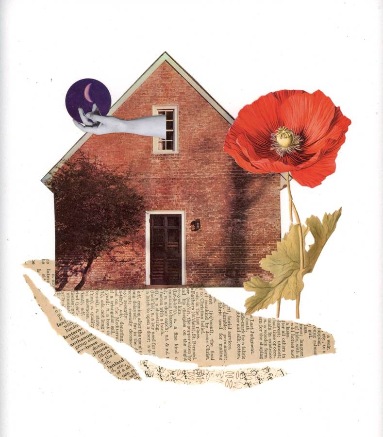 Losing the Roots collage by Narges Valibeigi