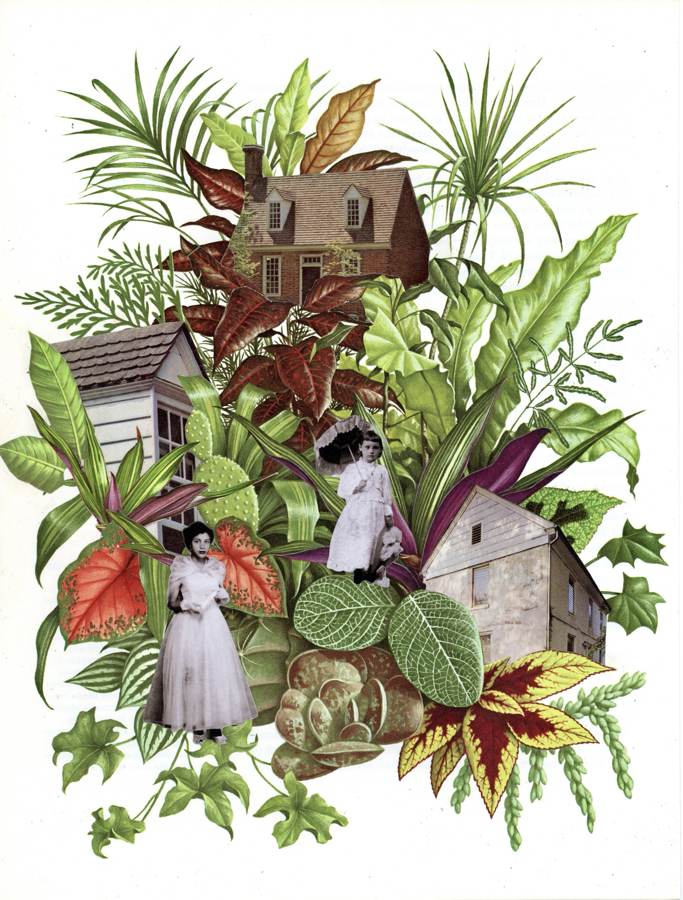 Losing the Roots collage by Narges Valibeigi