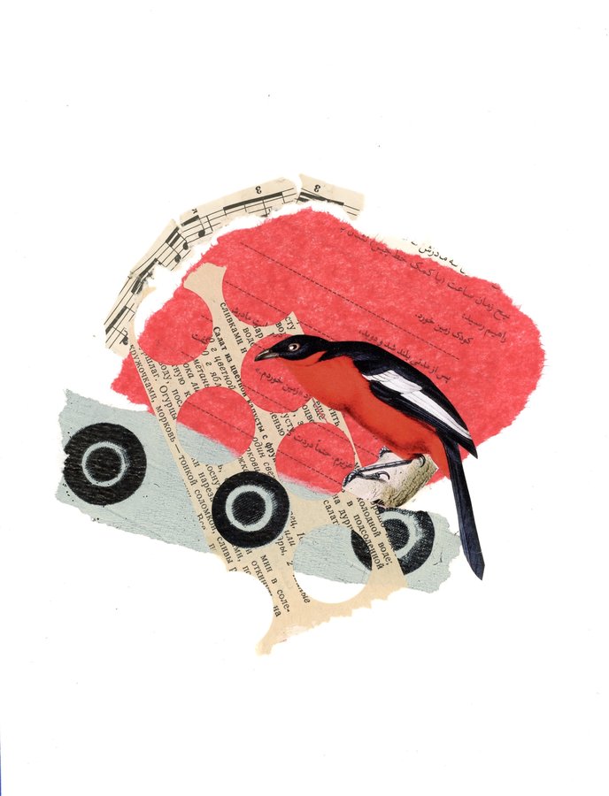 Mischief collage by Narges Valibeigi