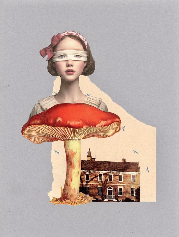 Mischief collage by Narges Valibeigi