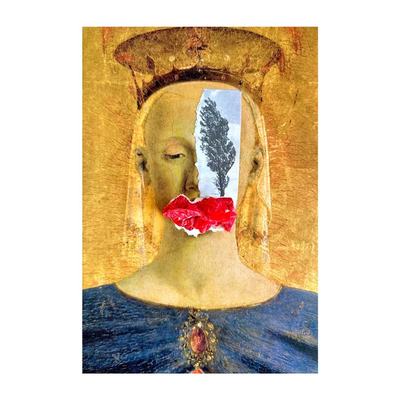 Womanhood collage by Narges Valibeigi