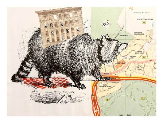 Losing the Roots collage by Narges Valibeigi